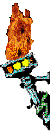 torch